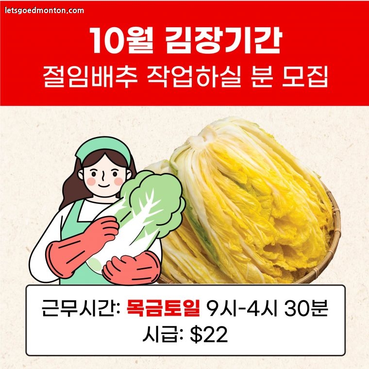 김장.jpg