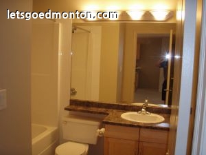 2308cd2_20.jpg