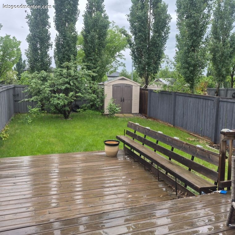 backyard_compressed.jpg