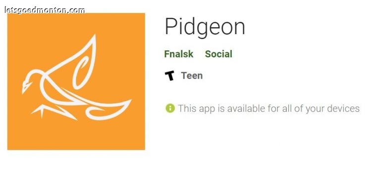 Pidgeon1.jpg