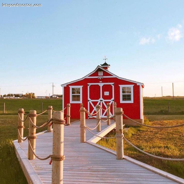 구인구직 Ice Cresm Barn in Clairmont 약 3개월 일하실분 구해요
